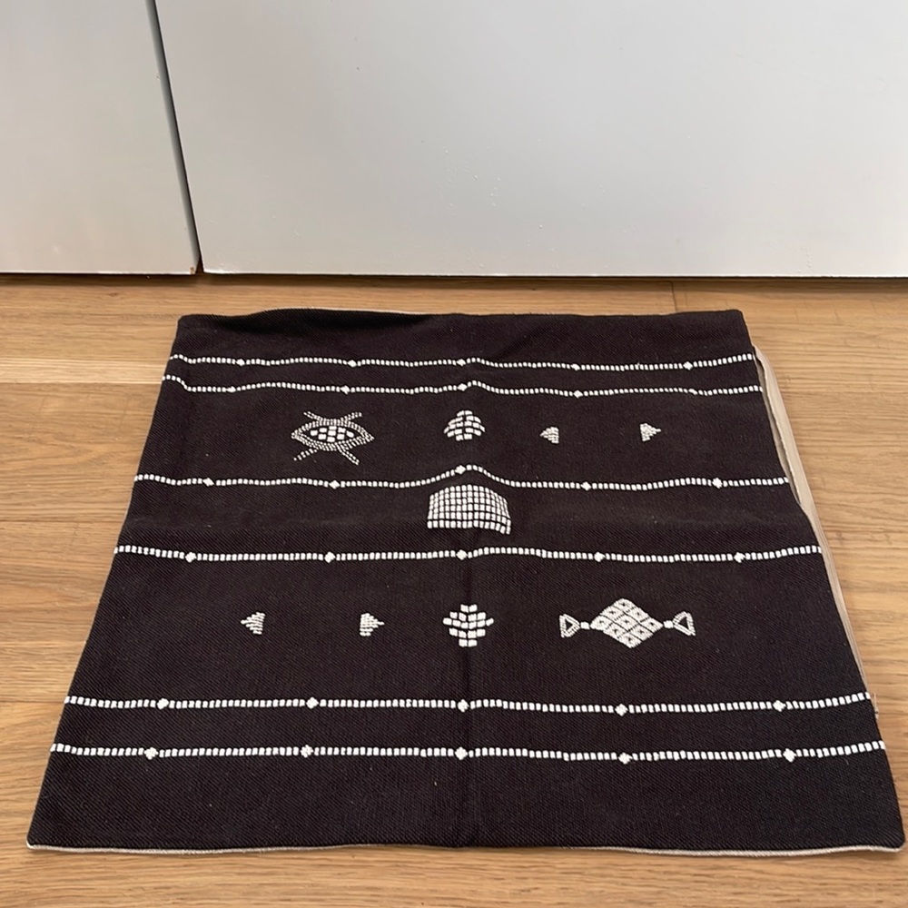 Crate and barrel pillowcase- 23x23